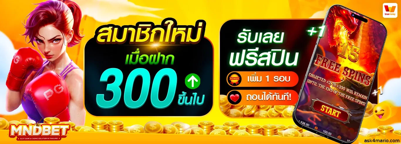 mndbet register